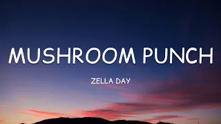 Zella Day - Mushroom Punch (Lyrics)🎵