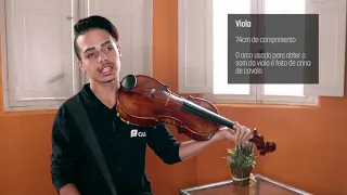 Conheça os instrumentos | Viola