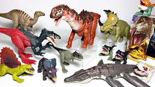 Mega Jurassic World Dominion Wave 2 Dinosaurs Unboxing and Review!