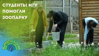 🤝КАК СТУДЕНТЫ МГУ ПОМОГАЛИ МАРИУПОЛЬСКОМУ ЗООПАРКУ