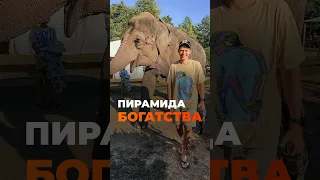 Пирамида богатства. Как прийти к пассивному доходу #инвестиции #пассивный доход