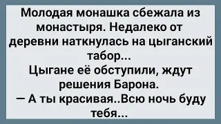 Молодая Монашка Пришла в Цыганский Табор! Сборник Свежих Анекдотов! Юмор!