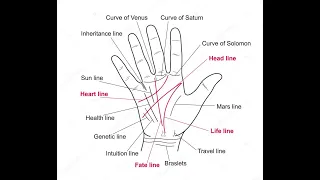 #Palmistry = Prediction of Fish Sign in hand