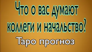 Что о вас думают коллеги и начальство? | Таро Прогноз | Тайна Жрицы |