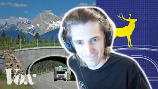 xQc Reacts to Wildlife crossings stop roadkill. Why aren't there more? | xQcOW