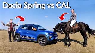 Dacia Spring și a găsit rivalul...UN CAL!