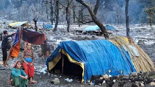 Himalayan Sheep Shepherd Life in Winter Season Nepal । Nepal Village Life । Shepherd Food Cooking