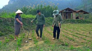 KONG weeds his peanut and corn garden with the help of his GIRLFRIEND and girlfriend's mother