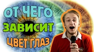 ОТ ЧЕГО ЗАВИСИТ ЦВЕТ ГЛАЗ? #5