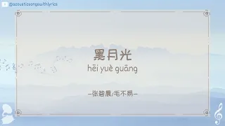 张碧晨(Zhang Bichen) /毛不易 (Mao Buyi) - 黑月光 (Black Moonlight) / Chinese songs with lyrics