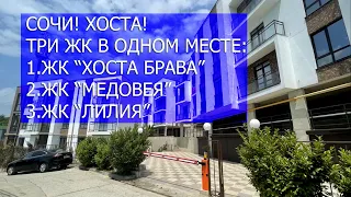 СОЧИ! ХОСТА! 30.03.2024.   ТРИ ЖК В ОДНОМ МЕСТЕ:  1.ЖК “ХОСТА БРАВА”   2.ЖК “МЕДОВЕЯ”   3.ЖК “ЛИЛИЯ”