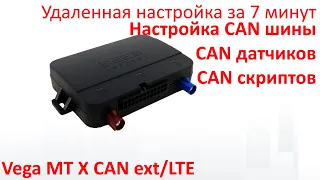 ВЕГА АБСОЛЮТ удаленная настройка CAN шины Vega MT X CAN ext/LTE