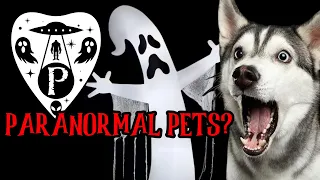 “PARANORMAL PETS” and 3 More Fortean Stories! #ParanormalityMag