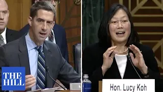'Your decision was plainly contrary to the law at the time': Cotton hammers judicial nominee