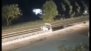 Norfolk southern Train Hits Golf cart in Chesterton, Indiana