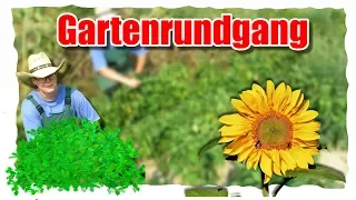 XXL Gartenrundgang 2018🌻//Mein Garten im August(Germany/Deutsch)