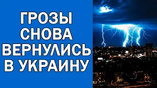 ПОГОДА НА 25 МАЯ : ПОГОДА НА ЗАВТРА