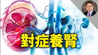 哪些做法會損害腎功能？普通人應該怎樣保養腎臟？