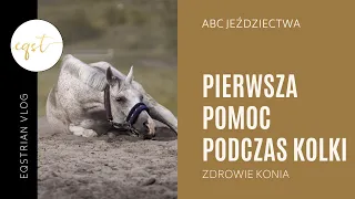 PIERWSZA POMOC podczas KOLKI | Zdrowie konia