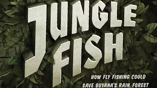 Costa Sunglasses + Indifly: Jungle Fish