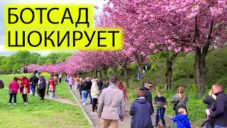 🌴КИЕВ 22.04.24 | БОТСАД И ТОЛПЫ ЛЮДЕЙ