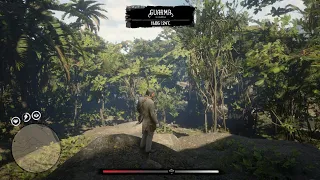 RDR2- How I accidentally visited Guarma as John