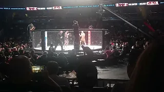 1st MMA fight