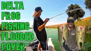 Delta Back Water Frog Fishing | Delta Frog fishing | Delta Punch Fishing