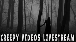 CREEPY VIDEOS (LIVESTREAM REACTIONS)