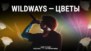 Wildways — Цветы | Москва 27.05.2023