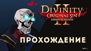 Прохождение Divinity: Original Sin 2 // Первый запуск