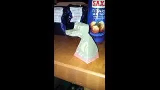 3D Paper Dragon/Dinosaur optical illusion, he watches you wherever you go!