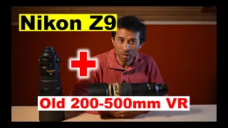 Nikon Z9 miracle, it raised my Nikon 200-500mm VR zoom lens + Teleconverter from its deep sleep.