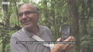 clip of THE MAN WHO GREW HIS OWN AMAZON RAINFOREST