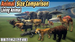 Animal Size Comparison (Living) (동물 크기비교 : 현존생물)