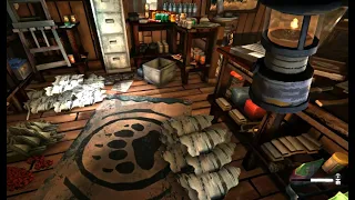 THE LONG DARK: Home - day 830, library and blizzard trails