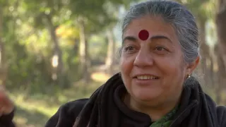 The Seeds of Vandana Shiva Sizzle Reel