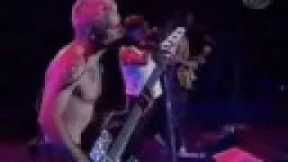 Red Hot Chili Peppers - Scar Tissue Live in Sao Paulo, Brazil - 2002