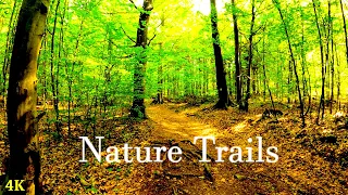 Nature Trail | 4K | ASMR | Forest Hike | Virtual Walking | Slow TV | Pure Sounds Of Walk | Spring