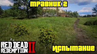 Прохождение RDR 2 на 100% - Испытание: Травник 2 (Глава 2 - Нагорье Подкова)