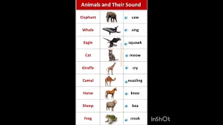 #viral easy animal and their sounds learn for or children
