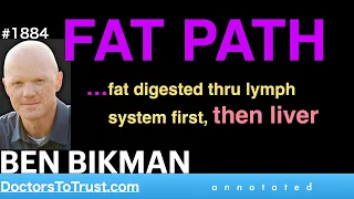 BEN BIKMAN |  FAT PATH …fat digested thru lymph system first, then liver