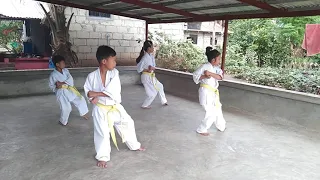 Kyokushin Kata ( Pinan Sono Yon )