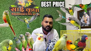 cheapest price mei exotic birds and Aquarium fishes