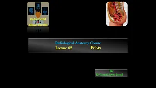 Radiological Anatomy Course -Lecture 02 -Pelvis Part(1)