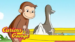 Curious George 🐵 George Helps the Ducks 🐵 Kids Cartoon 🐵 Kids Movies 🐵 Videos for Kids