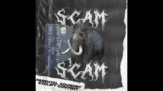 STELL & Scally Milano — Scam