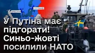 ❗ Найбільші резерви НАТО вже на самісінькому кордоні Росії!