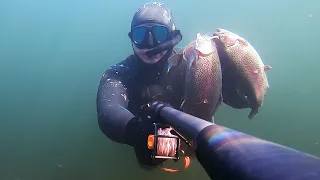 DANGER ZONE⚡: SPEARFISHING FOR TROUT IN EXTREME CONDITIONS ❄️🌊