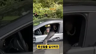 혹성탈출 실사버전